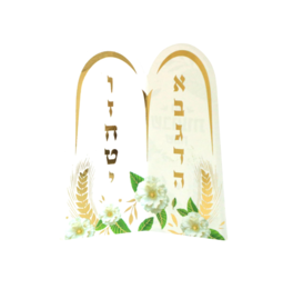 כרטיס מתקפל לוחות הברית חג שבועות שמח דו צדדי 9*8 ס"מ- 6 יח'