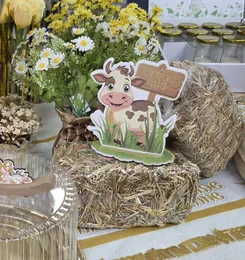 חבילת חציר גדול 22*10*8 ס"מ