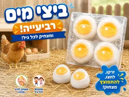 סקושי תבנית ביצים 4 יח