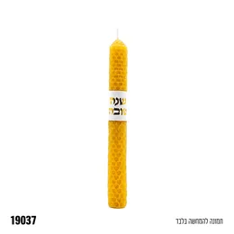 19037